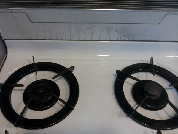 화이트앤크린 PC 이미지 677103